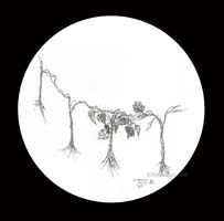 The Blessing and the Curse